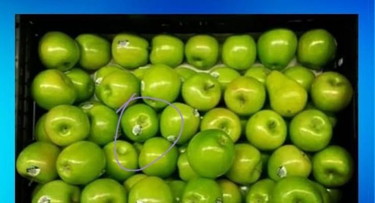 Odd Fruit Out Challenge: Can You Find the Hidden Pear?