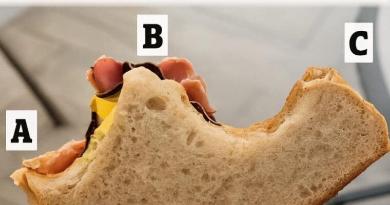 Which one would be your next bite?