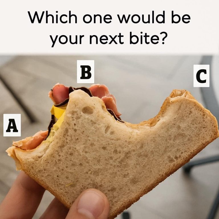 Which one would be your next bite?